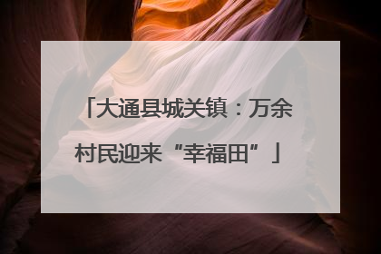 大通县城关镇：万余村民迎来“幸福田”