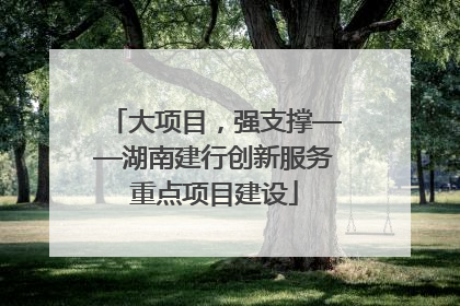 大项目，强支撑——湖南建行创新服务重点项目建设
