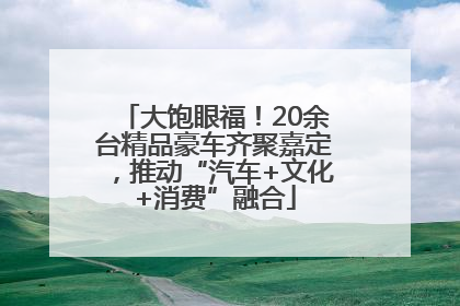 大饱眼福！20余台精品豪车齐聚嘉定，推动“汽车+文化+消费”融合