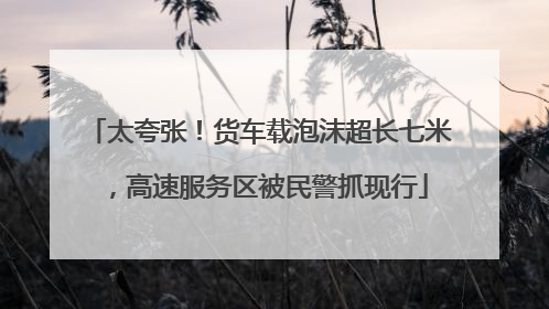 太夸张！货车载泡沫超长七米，高速服务区被民警抓现行