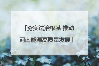 夯实法治根基 推动河南能源高质量发展