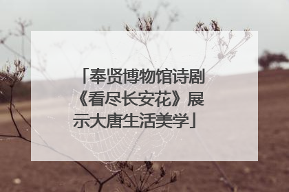 奉贤博物馆诗剧《看尽长安花》展示大唐生活美学