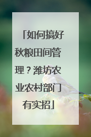 如何搞好秋粮田间管理？潍坊农业农村部门有实招