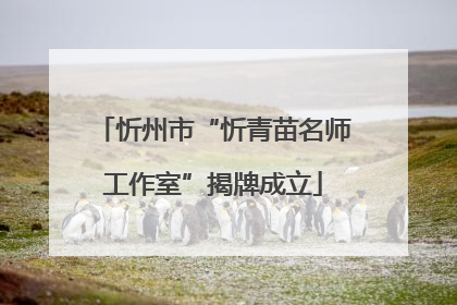 忻州市“忻青苗名师工作室”揭牌成立