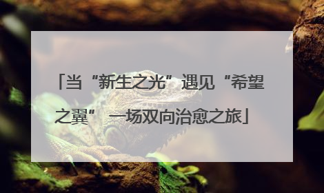 当“新生之光”遇见“希望之翼” 一场双向治愈之旅