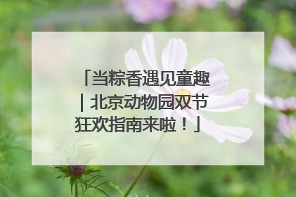 当粽香遇见童趣｜北京动物园双节狂欢指南来啦！