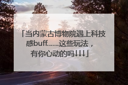 当内蒙古博物院遇上科技感buff……这些玩法，有你心动的吗↓↓↓