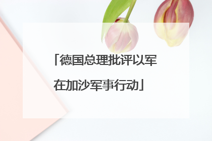 德国总理批评以军在加沙军事行动