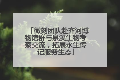 微刻团队赴齐河博物馆群与泉溪生物考察交流，拓展永生传记服务生态