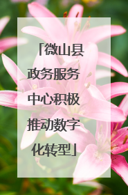 微山县政务服务中心积极推动数字化转型
