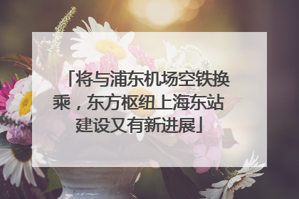 将与浦东机场空铁换乘，东方枢纽上海东站建设又有新进展