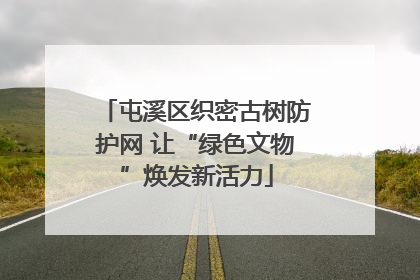 屯溪区织密古树防护网 让“绿色文物”焕发新活力
