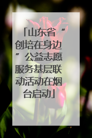 山东省“创培在身边”公益志愿服务基层联动活动在烟台启动