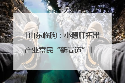 山东临朐：小鹅肝拓出产业富民“新赛道”