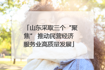 山东采取三个“聚焦” 推动民营经济服务业高质量发展