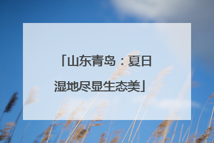 山东青岛：夏日湿地尽显生态美
