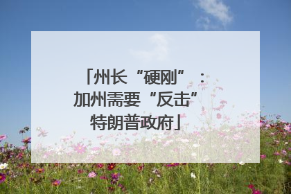 州长“硬刚”：加州需要“反击”特朗普政府