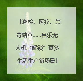 巡检、医疗、禁毒踏查……昌乐无人机“解锁”更多生活生产新场景