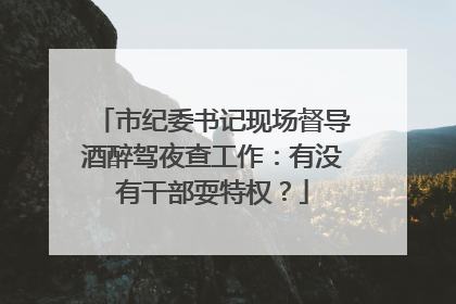 市纪委书记现场督导酒醉驾夜查工作：有没有干部耍特权？