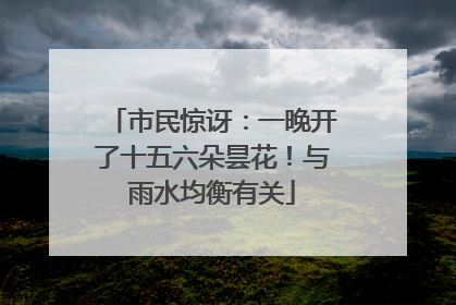 市民惊讶：一晚开了十五六朵昙花！与雨水均衡有关