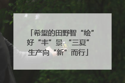 希望的田野智“绘”好“丰”景 “三夏”生产向“新”而行