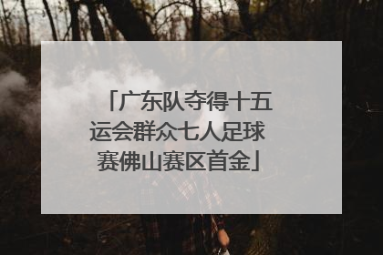 广东队夺得十五运会群众七人足球赛佛山赛区首金
