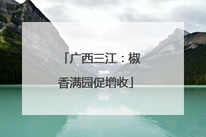 广西三江：椒香满园促增收