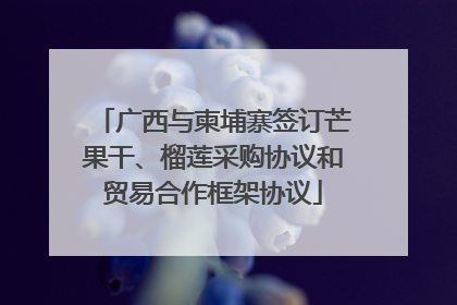 广西与柬埔寨签订芒果干、榴莲采购协议和贸易合作框架协议