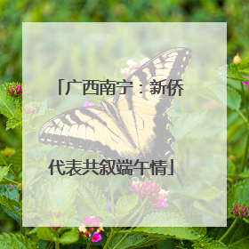 广西南宁：新侨代表共叙端午情