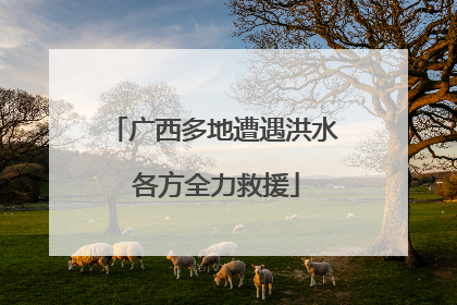 广西多地遭遇洪水 各方全力救援