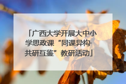 广西大学开展大中小学思政课“同课异构·共研互鉴”教研活动