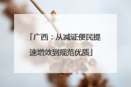 广西：从减证便民提速增效到规范优质