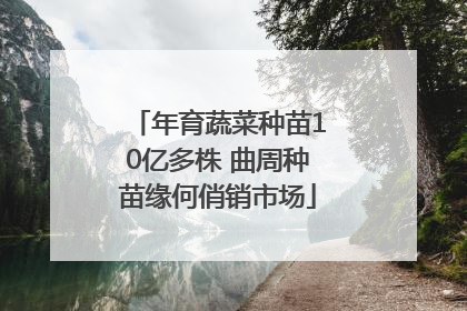 年育蔬菜种苗10亿多株 曲周种苗缘何俏销市场