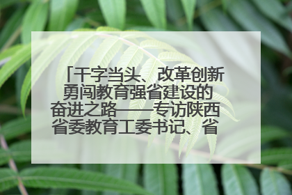 干字当头、改革创新 勇闯教育强省建设的奋进之路——专访陕西省委教育工委书记、省教育厅厅长王树声