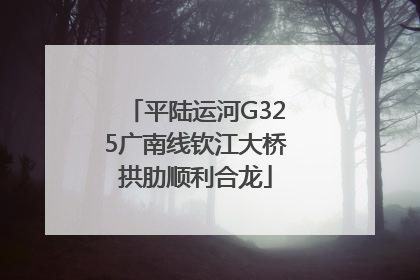 平陆运河G325广南线钦江大桥拱肋顺利合龙