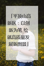 平顶山高新区：以创新为笔 绘就高质量发展新图景