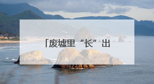 废墟里“长”出艺术展，温州首个“自然生态综合体示范片”启幕
