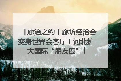 廊洽之约丨廊坊经洽会变身世界会客厅！河北扩大国际“朋友圈”