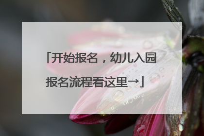 开始报名，幼儿入园报名流程看这里→