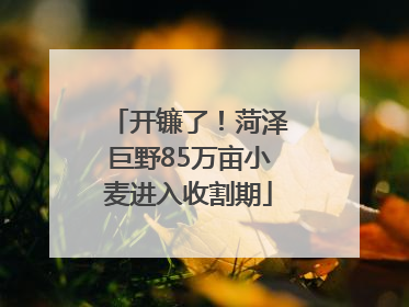 开镰了！菏泽巨野85万亩小麦进入收割期
