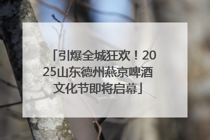 引爆全城狂欢！2025山东德州燕京啤酒文化节即将启幕