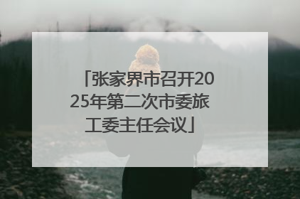 张家界市召开2025年第二次市委旅工委主任会议