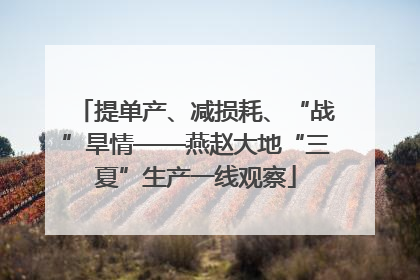 提单产、减损耗、“战”旱情——燕赵大地“三夏”生产一线观察