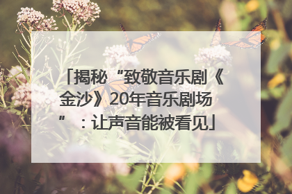 揭秘“致敬音乐剧《金沙》20年音乐剧场”：让声音能被看见