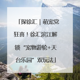 探徐汇｜萌宠党狂喜！徐汇滨江解锁“宠物游轮+天台乐园”双玩法