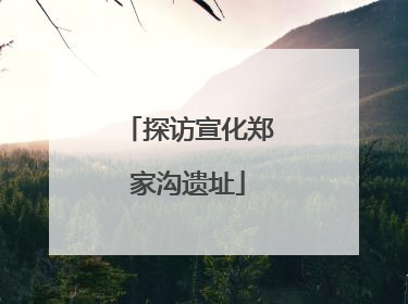 探访宣化郑家沟遗址