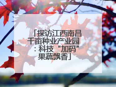 探访江西南昌千亩种业产业园：科技“加码” 果蔬飘香