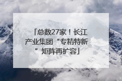 总数27家！长江产业集团“专精特新”矩阵再扩容