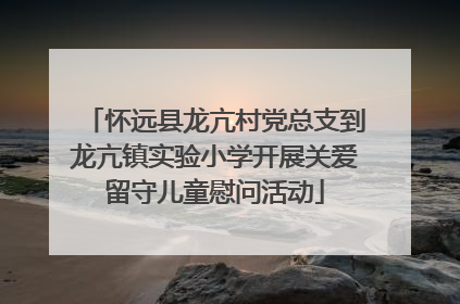 怀远县龙亢村党总支到龙亢镇实验小学开展关爱留守儿童慰问活动
