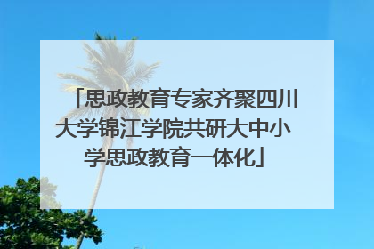 思政教育专家齐聚四川大学锦江学院共研大中小学思政教育一体化